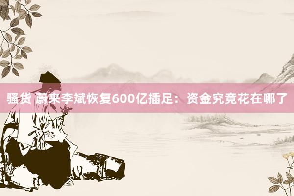 骚货 蔚来李斌恢复600亿插足：资金究竟花在哪了