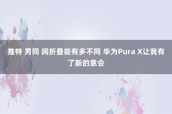 推特 男同 阔折叠能有多不同 华为Pura X让我有了新的意会