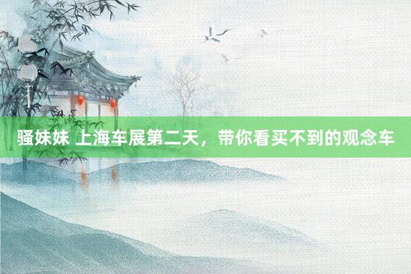骚妹妹 上海车展第二天，带你看买不到的观念车