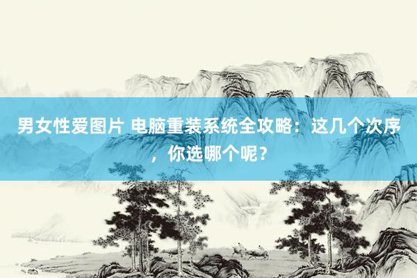男女性爱图片 电脑重装系统全攻略：这几个次序，你选哪个呢？