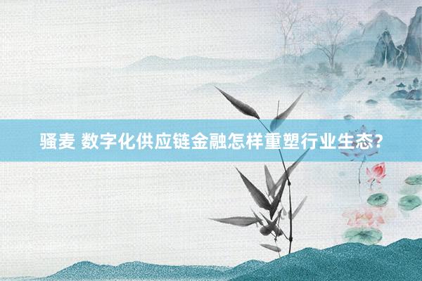 骚麦 数字化供应链金融怎样重塑行业生态？