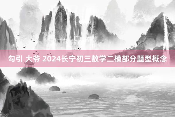 勾引 大爷 2024长宁初三数学二模部分题型概念